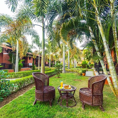 Vision Safari Pvt Ltd Hotel Sauraha Eksteriør billede
